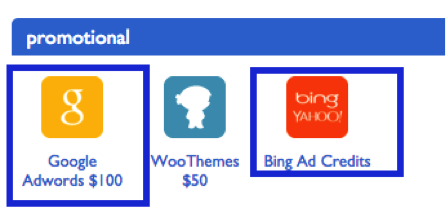 bluehost-adwords-BING