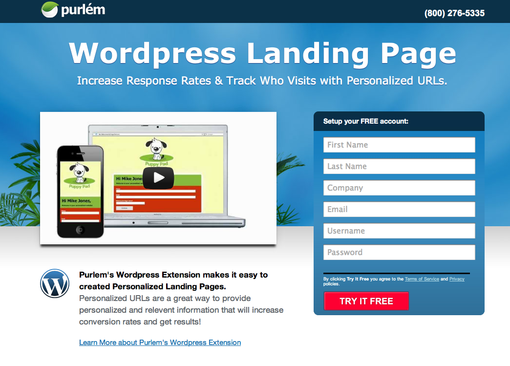 Landing-Page-Wordpress.png